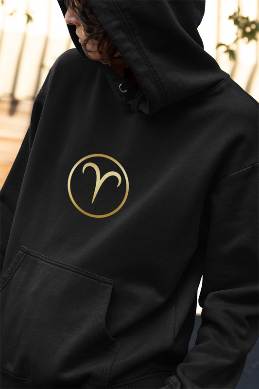 Aries Golden Circle Hoodie