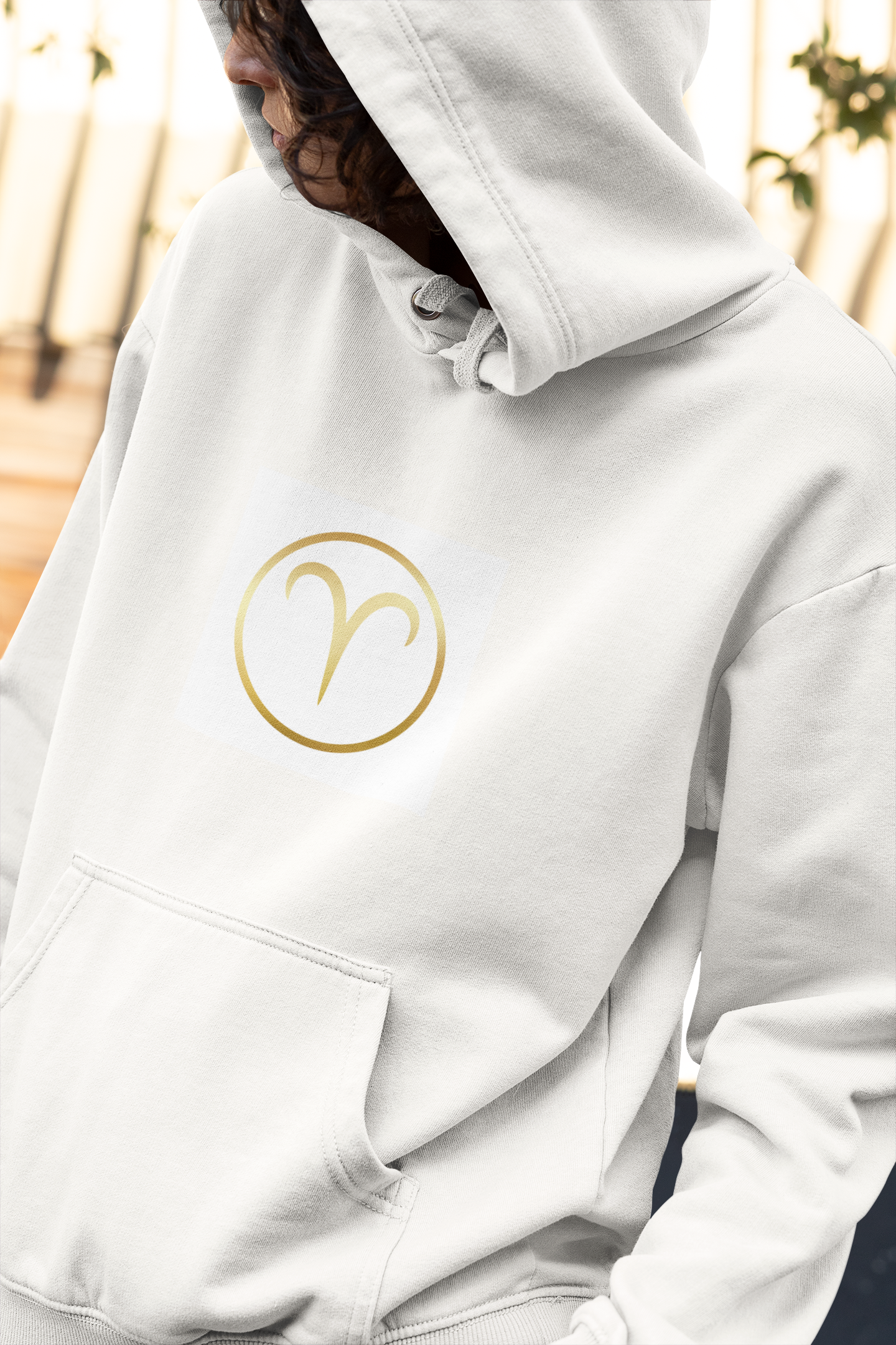 Aries Golden Circle Hoodie